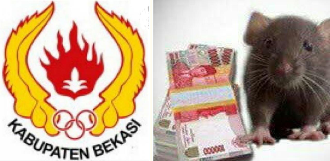 Dana Hibah KONI Kabupaten Bekasi di Makan Rayap