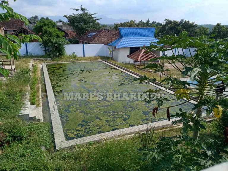 Sangat di sayangkan..!!Mangkrak tak terurus kolam renang yg telah menelan biaya hampir 1m