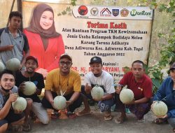 Petani Muda Desa Adiwerna Binaan Dewi Aryani Sukses Panen Melon Jepang