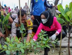 Aksi Nyata Jaga Lingkungan Pesisir, Polresta Cirebon Tanam Ribuan Pohon Mangrove