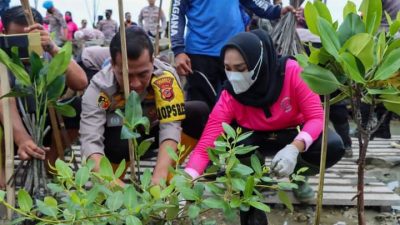 Aksi Nyata Jaga Lingkungan Pesisir, Polresta Cirebon Tanam Ribuan Pohon Mangrove