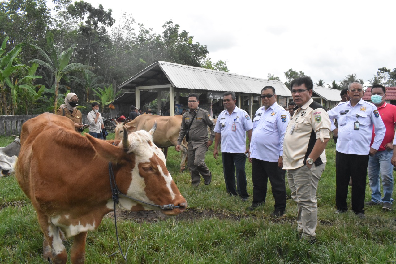 OKI Siaga PMK Jalang Idul Adha