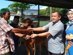 Hikmah Ketagwaan Rela Berkorban, Dandim 0505/JT Serahkan Hewan Qurban