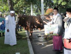 IDUL ADHA 1443 H/2022 M Pemda Provinsi Jabar Serahkan Bantuan Sapi Satu Ton