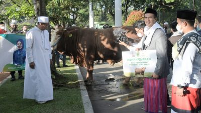 IDUL ADHA 1443 H/2022 M Pemda Provinsi Jabar Serahkan Bantuan Sapi Satu Ton