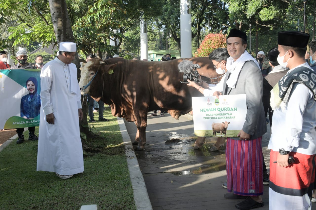 IDUL ADHA 1443 H/2022 M Pemda Provinsi Jabar Serahkan Bantuan Sapi Satu Ton