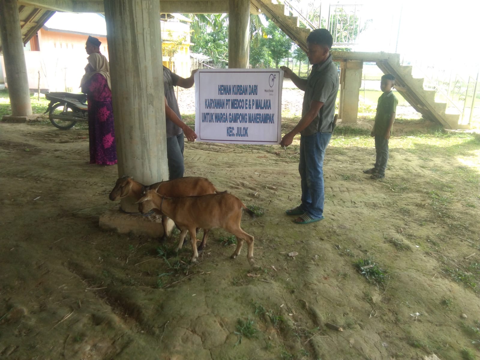 PT. Medco E & P Malaka Kembali Salurkan Puluhan Hewan Qurban Kepada Masyarakat Sekitar Area Operasional Perusahaan