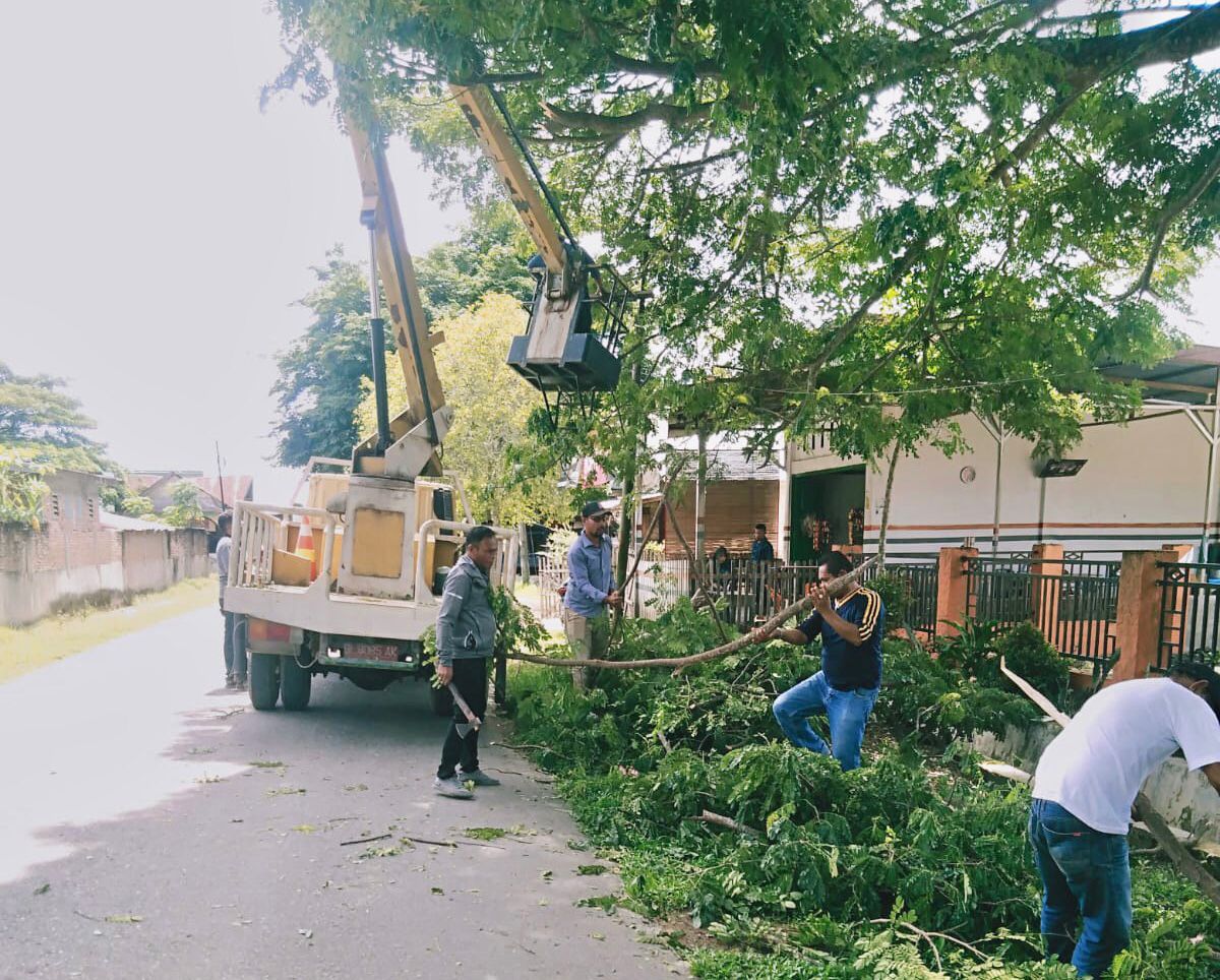 Sekcam Idi Rayeuk Naik Eskavator Pangkas Pohon Bersih-Bersih Area Halaman Kantor Kecamatan Idi Rayeuk