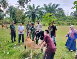 Satgas Dan Muspika Kecamatan Idi Timur Laksanakan Vaksin PMK