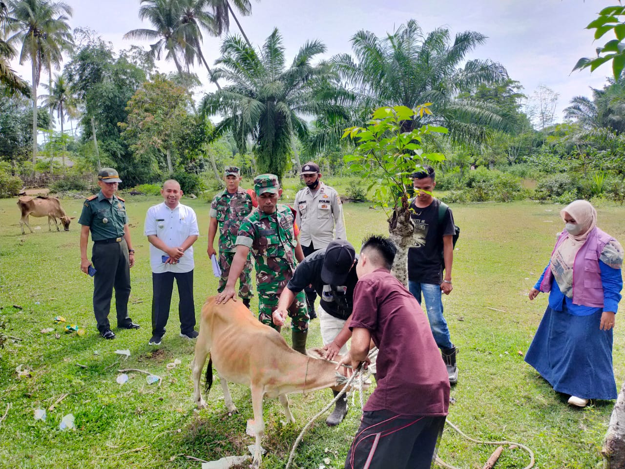 Satgas Dan Muspika Kecamatan Idi Timur Laksanakan Vaksin PMK