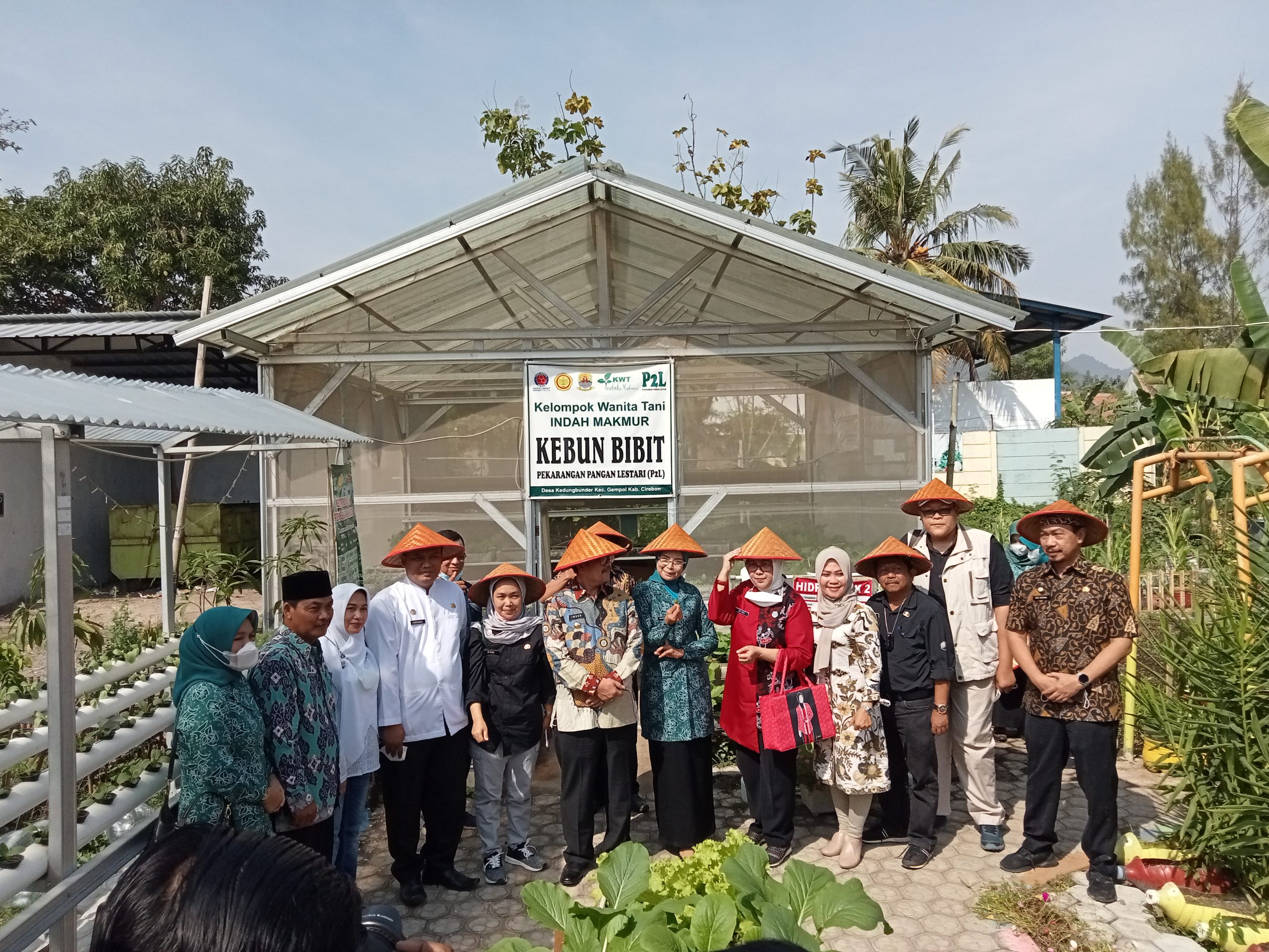 Kwt Indah Makmur Desa Kedungbunder Menjadi Salah Satu Finalis Dalam Lomba  Pemanfaatan Pekarangan sebagai Sumber Karbohidrat Tingkat Provinsi Jawa Barat