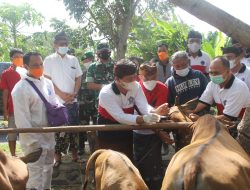 Bareng Bupati, Letkol Suhendar Tinjau Langsung Proses Vaksinasi