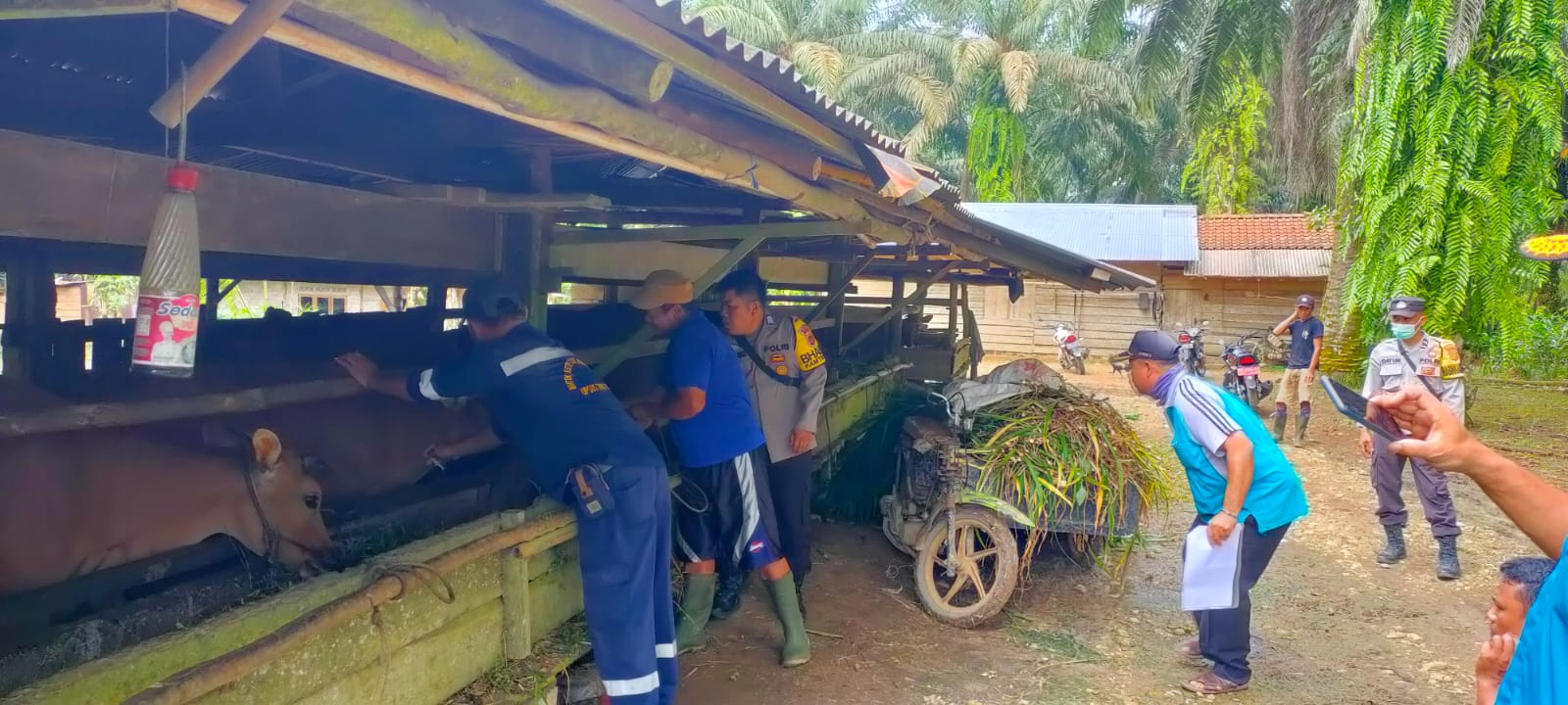 Polsek Tabir Selatan Laksanakan Sosialisasi Pencegahan Cegah PMK