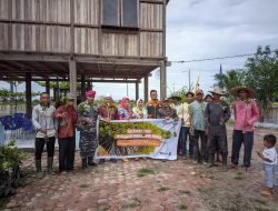 Babinpotmar TNI AL Lanal TBA Tanam Mangrove Bersama Warga