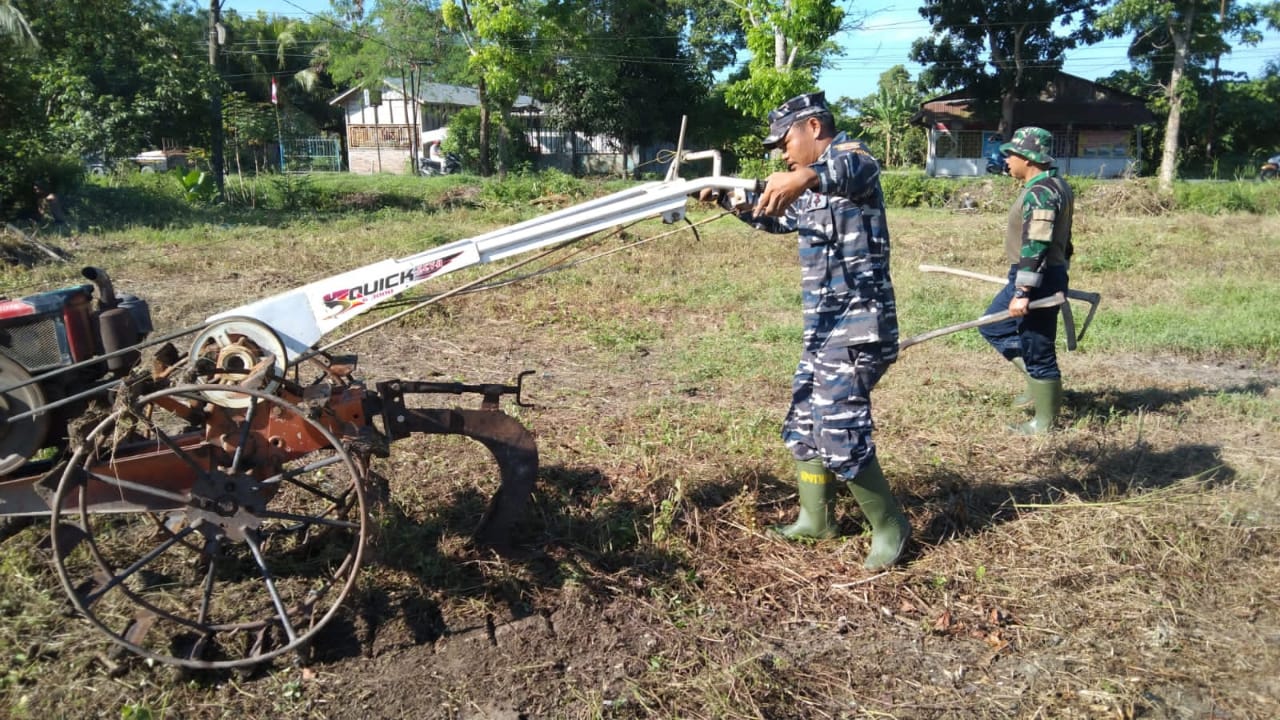 TNI AL Lanal TBA Garap Lahan Kosong Untuk Penanaman Serentak Di 77 Titik Lokasi