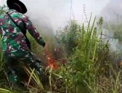 Kebakaran Lahan di Arisan Jaya Pemulutan Barat Berhasil Dipadamkan