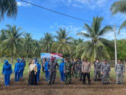 Dukung Ketahanan Pangan TNI AL Lanal Lhokseumawe Sukseskan Gerakan Nasional Penanaman Sorgum