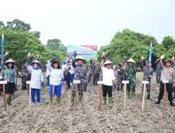 HUT TNI AL Ke-77 Lanal TBA bersama Forkopimda Sukseskan Gerakan Nasional Penanaman Sorgum Tahun 2022