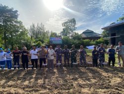 Lanal Simeulue Laksanakan Gerakan Nasional Penanaman Sorgum Serentak Dalam Rangka HUT TNI AL ke-77 Tahun 2022