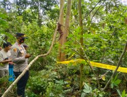 Polsek Walantaka Polresta Serang Kota Evakuasi penemuan Mayat di Kebun Warga