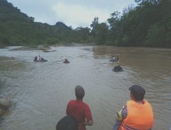 Polsek Tabir Ulu,Korban Tenggelam di Sungai Batang Tabir,Upaya SAR di Laksanakan Bersama