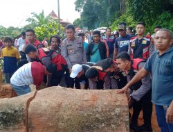 Pohon Tumbang diJalan,Dua Jam Tersendat,Kabag Ops Bantu Bersihkan Jalan