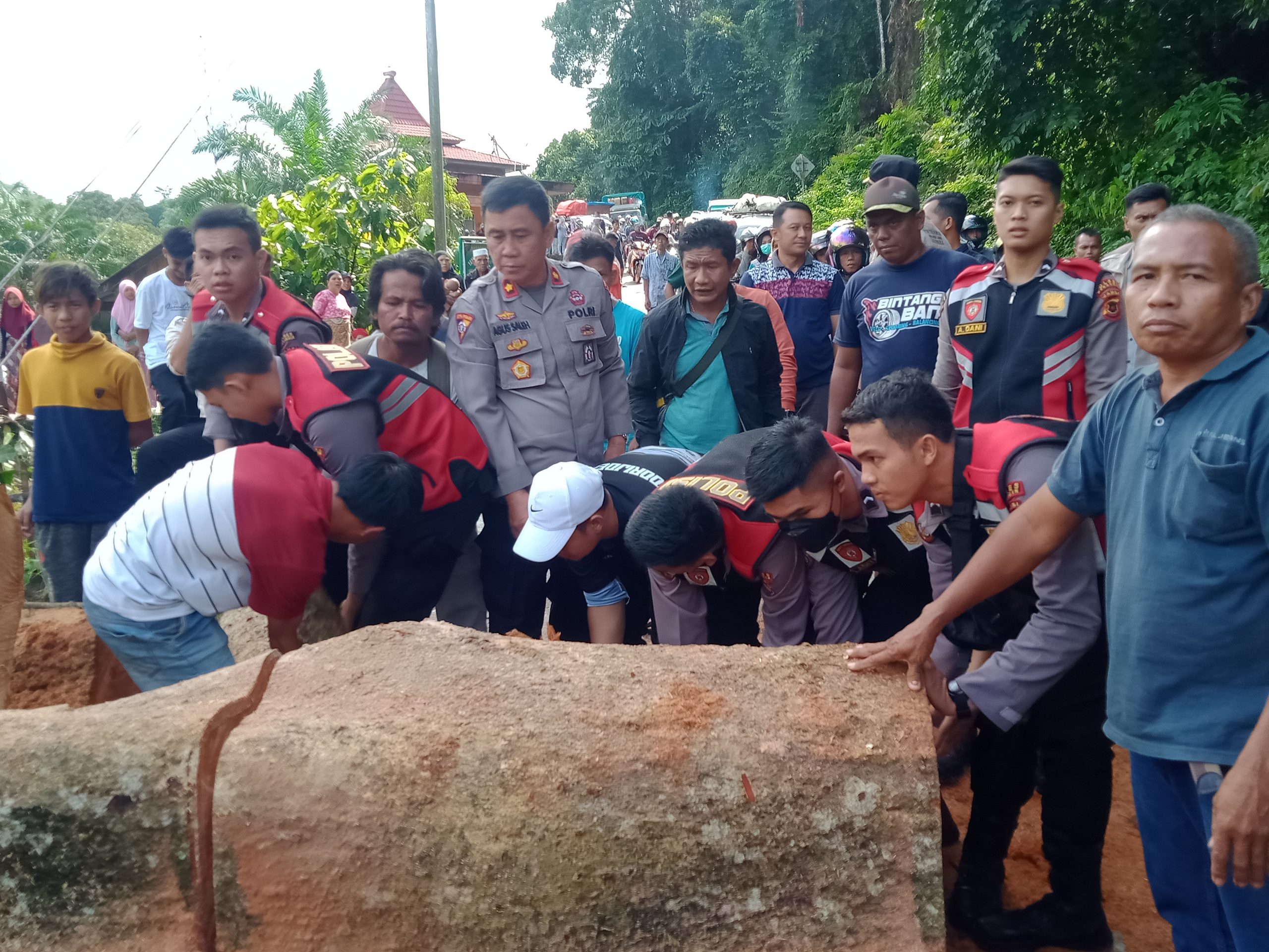 Pohon Tumbang diJalan,Dua Jam Tersendat,Kabag Ops Bantu Bersihkan Jalan