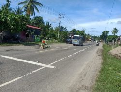 TIDAK KUNJUNG DIPERBAIKI JALAN NASIONAL LINTAS ACEH TIMUR, WARGA MASYARAKAT ANTISIPASI MUSIBAH KECELAKAAN BERINISIATIF MENANAM POHON DITENGAH BADAN JALAN.