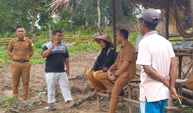 ZULFADLy OYONG DPRK ACEH TIMUR: SURVEy LAHAN MASYARAKAT YANG BERTANI MANDIRI