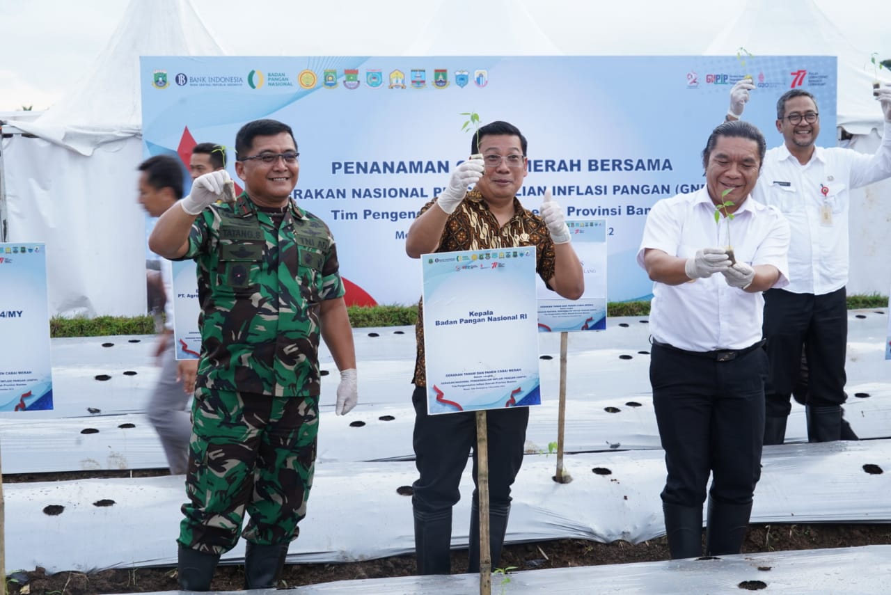 Hadiri Gerakan Pengendalian Inflasi Pangan Danrem 064/ MY Tanam dan Panen Cabai