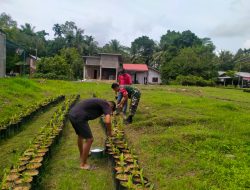 PERAN BABINSA TURUT MEMBINA USAHA PEMBIBITAN KELAPA SAWIT, IKUT DIRONG PERTUMBUHAN EKONOMI MASYARAKAT PEDESAAN.