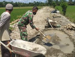 BABINSA BABAHROT – ATENSI BANTU PENGECORAN TALUT PENGAIRAN SAWAH PETANI