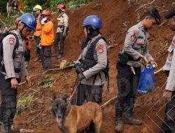 KEGIATAN PENCARIAN DAN EVAKUASI KORBAN GEMPA CIANJUR – TIMSAR K9 POLDA JABAR TERUS DILAKUKAN