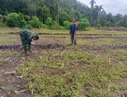 BABINSA KUALA BATEE –  BANTU PETANI TANAM JAGUNG