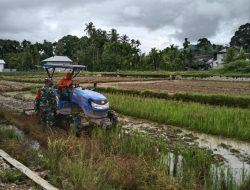 WUJUDKAN MISI –  BABINSA SETIA BAKTI KAWAL PEMBAJAKAN SAWAH PETANI