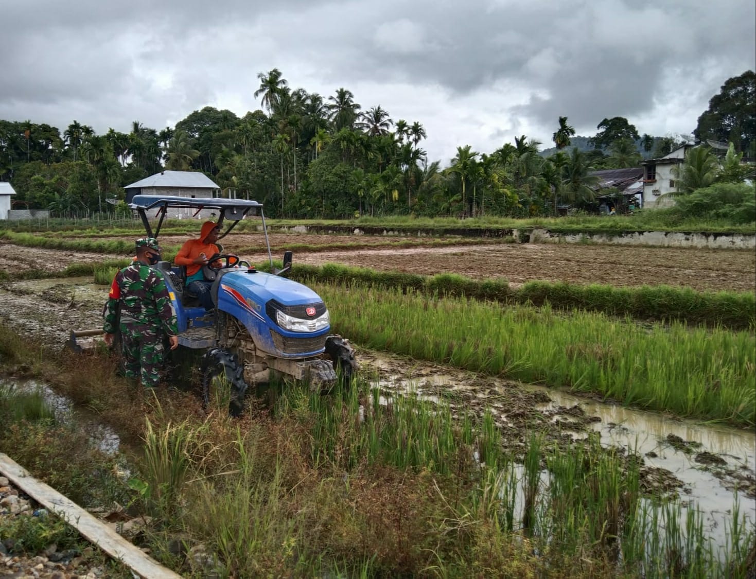 WUJUDKAN MISI –  BABINSA SETIA BAKTI KAWAL PEMBAJAKAN SAWAH PETANI