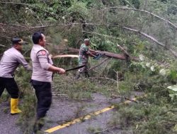 MASYARAKAT PENGGUNA JALAN –  APRESIASI RESPON CEPAT POLSEK SETIA BAKTI BERSIHKAN POHON TUMBANG