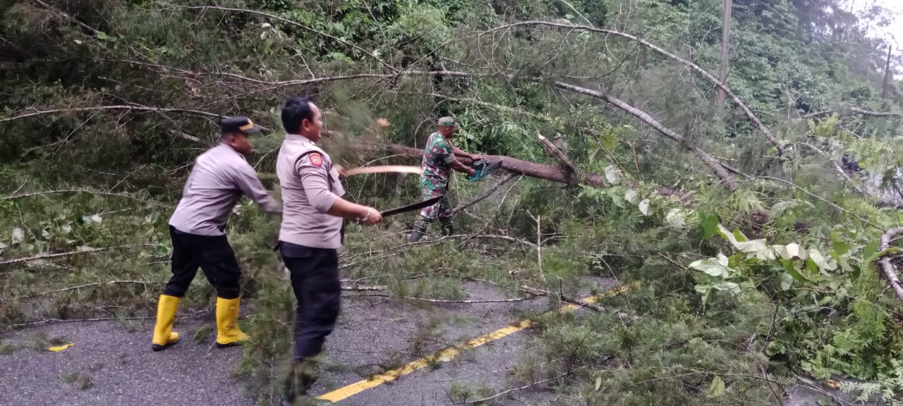 MASYARAKAT PENGGUNA JALAN –  APRESIASI RESPON CEPAT POLSEK SETIA BAKTI BERSIHKAN POHON TUMBANG