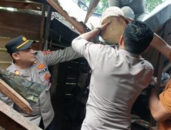 GERAK CEPAT KAPOLSEK DARUL AMAN –  BANTU RUMAH WARGA TERTIMPA POHON KELAPA