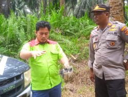 Kapolsek Bangko Beri Edukasi Harkamtibmas dan Taati Hukum Pada Warga SAD di Area Perkebunan PT.KDA Langling