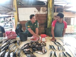 PASCA LIBUR LAUT :  BABINSA TINJAU NORMALISASI PASAR IKAN