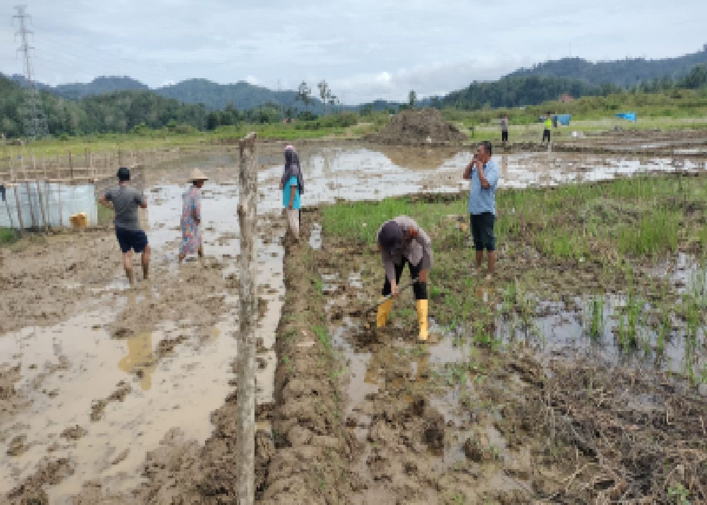 Sulap Lokasi Eks Peti menjadi Lahan Pertanian Aktif bersama Masyarakat Pangkalan Jambu