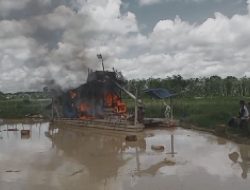 Dua Orang Pekerja Peti Di Tangkap,12 Set Mesin dirusak dan di Bakar di Dam Sesah