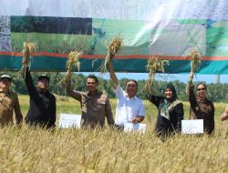 PJ Gubernur Banten Al Muktabar Panen Padi Bersama di Pandeglang