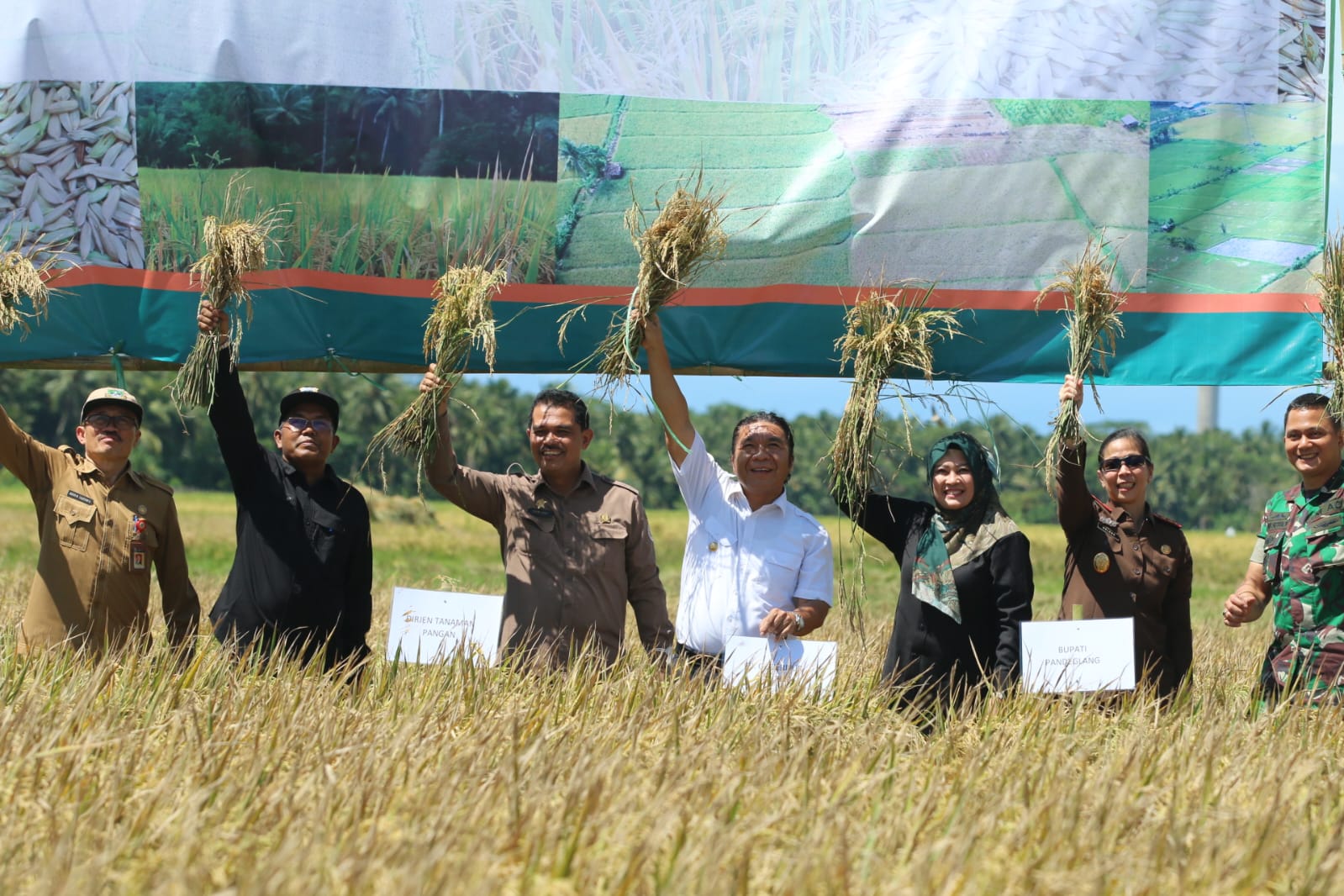 PJ Gubernur Banten Al Muktabar Panen Padi Bersama di Pandeglang