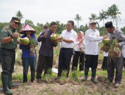 *Brigjen TNI Tatang Subarna Di Banten Bisa Panen Bawang Merah*