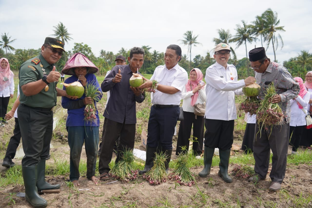 *Brigjen TNI Tatang Subarna Di Banten Bisa Panen Bawang Merah*