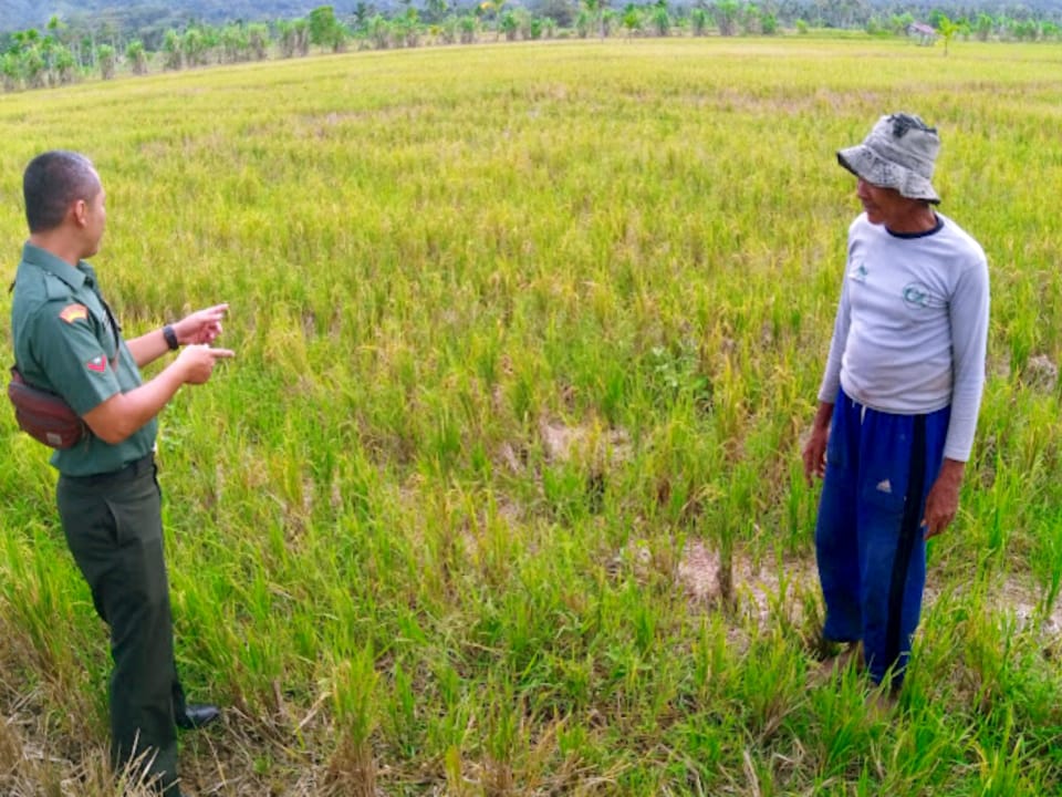 GALAKKAN KETAHANAN PANGAN : BABINSA DAN PETANI KECAMATAN JEUMPA BARAT SURVEI LAHAN