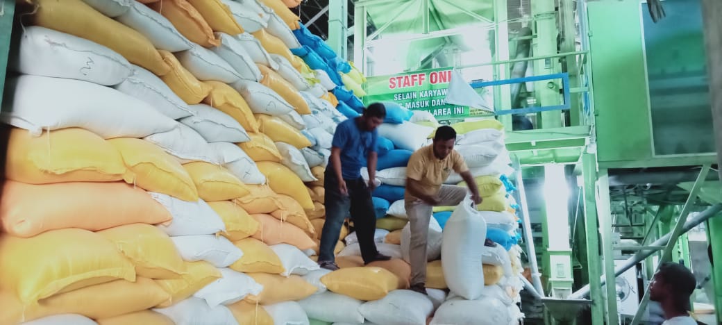 PETANI NAGAN RAYA TERSENYUM : HARGA GABAH MENINGKAT