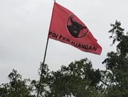 SOROTAN : KOTA LANGSA MEMERAH – BENDERA PARTAI PDI-P BERKIBAR HINGGA KEPELOSOK DESA